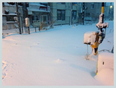 2014年関東大雪２